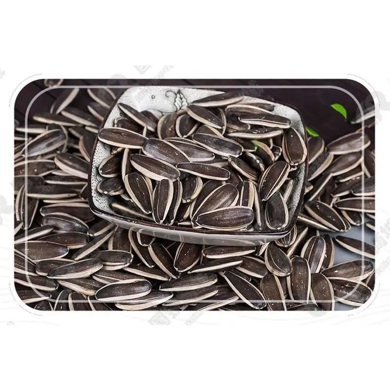 &lt;trp-post-container data-trp-post-id=&#039;20602&#039;&gt;Healthy Sunflower Seeds The Perfect Balance of Nutrition and Taste&lt;/trp-post-container&gt;