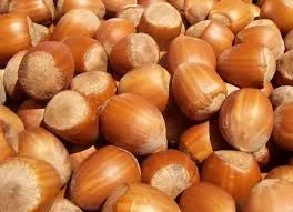 sunflower seed kernels for cakes factory