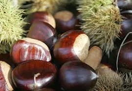 china sunflower seed kernels for baking