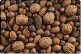 high quality sunflower seeds of cheap price