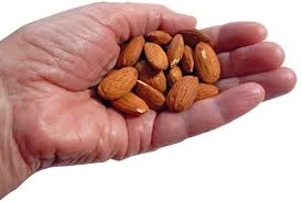 sunflower seeds unsalted factory