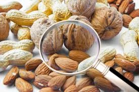 high quality woodland sunflower seeds
