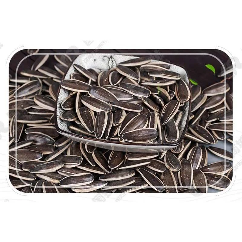 high quality sugar kiss melon seeds for sale
