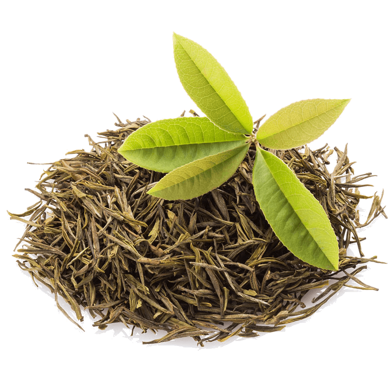 high quality fresh fry sunflower seeds kernel