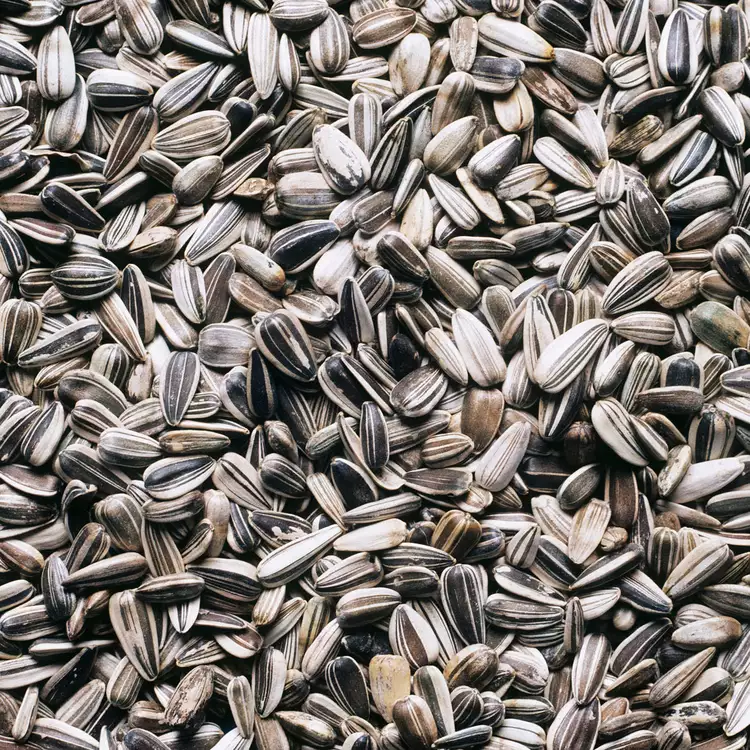 sunflower seeds without shell factories