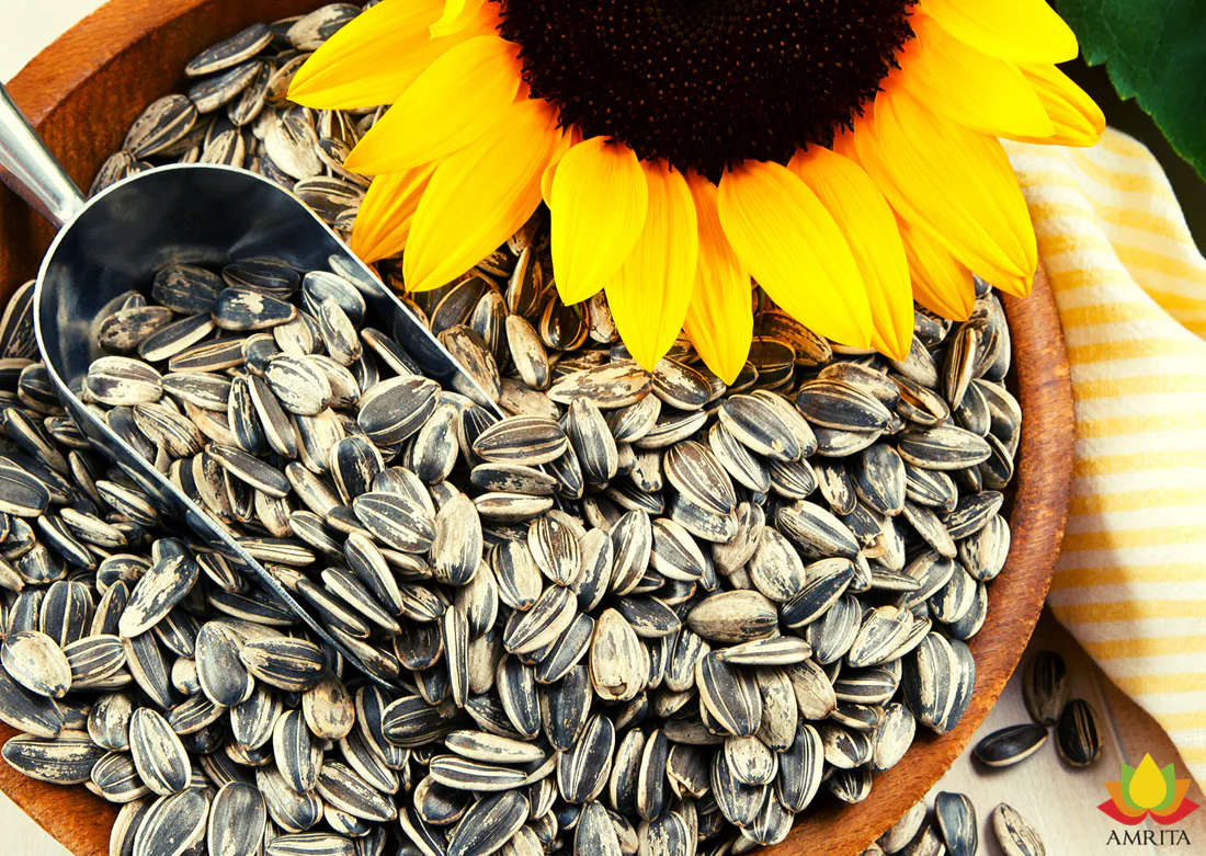 50 lbs sunflower seeds factory