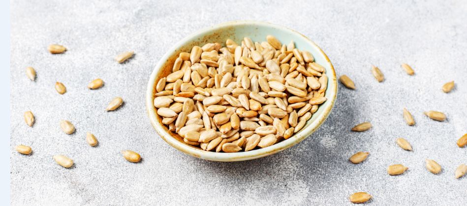high quality selected sunflower seeds