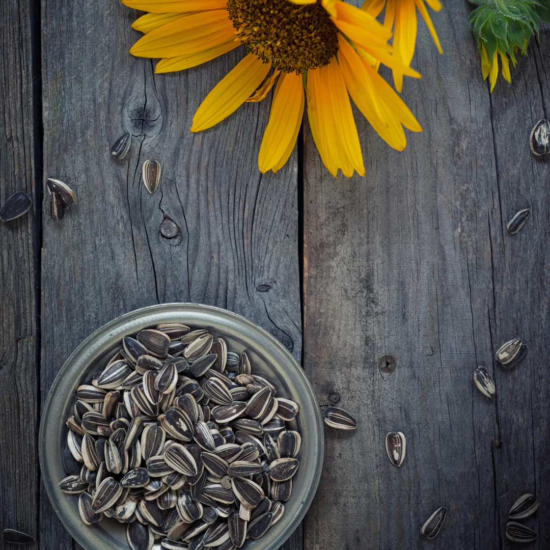 wholesale price of sunflower seeds