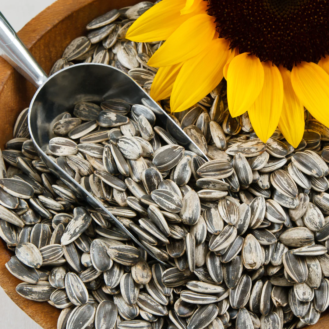 high quality sunflower seeds with shell
