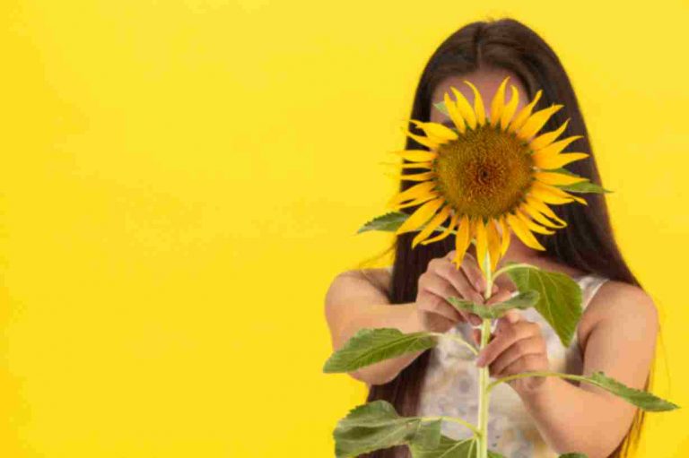different size sunflower seeds factory