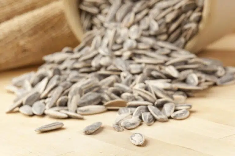 rock sugar and snow pear flavor sunflower seeds factories