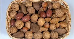 china black melon seed kernel