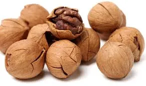 different specifications sunflower seeds suppliers