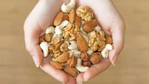 high quality 50 lb sunflower seeds