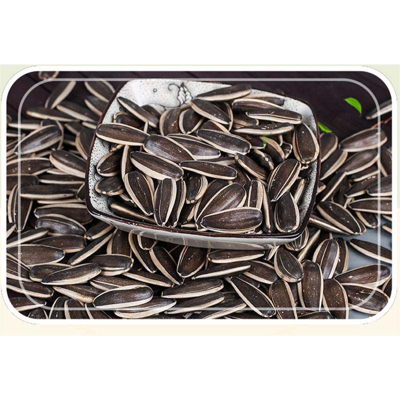 china sunflower seed rich in vitamin e