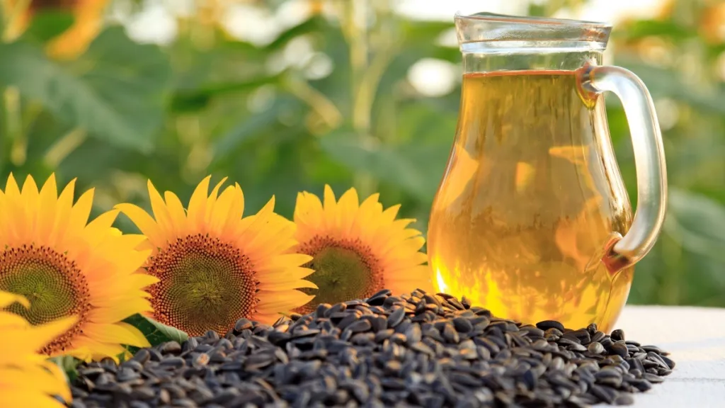 best unshelled sunflower seeds