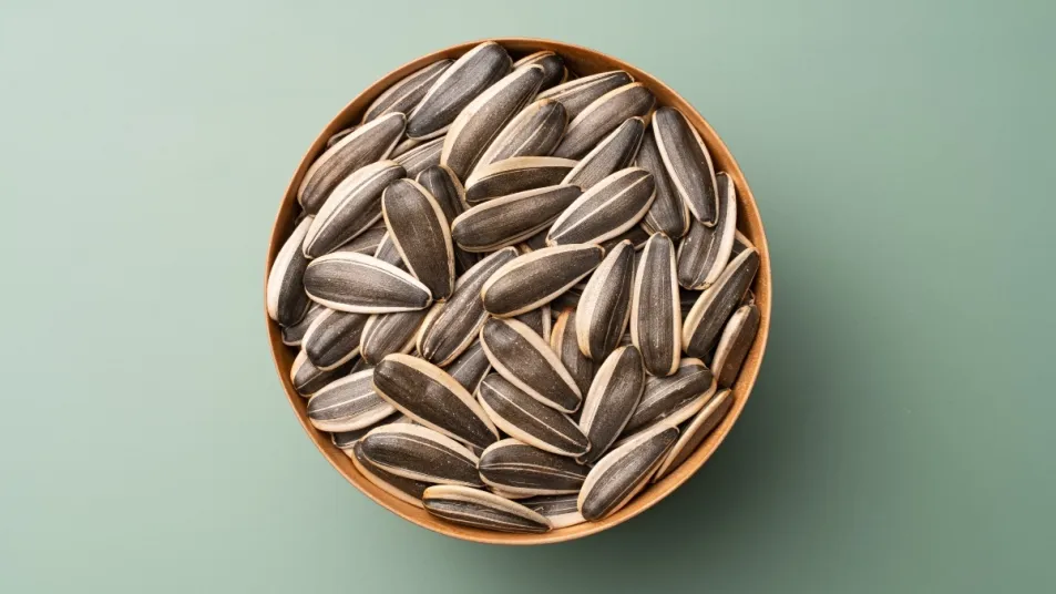 sunflower seeds of cheap price supplier