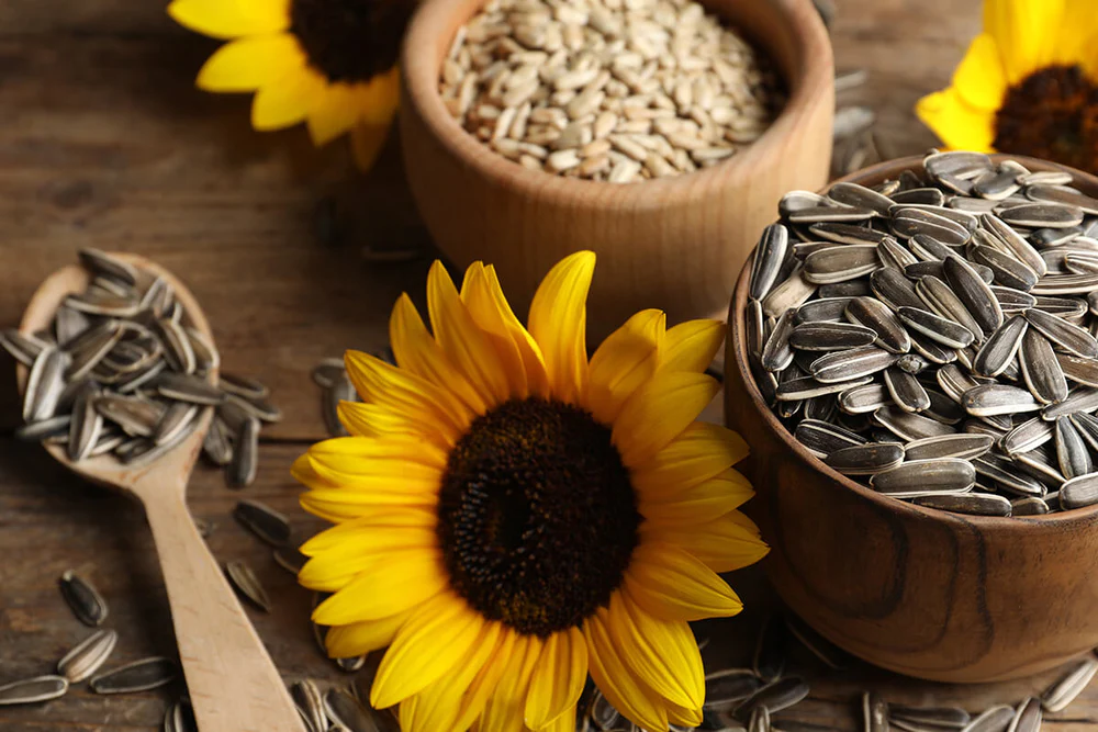 roasted salted sunflower seeds