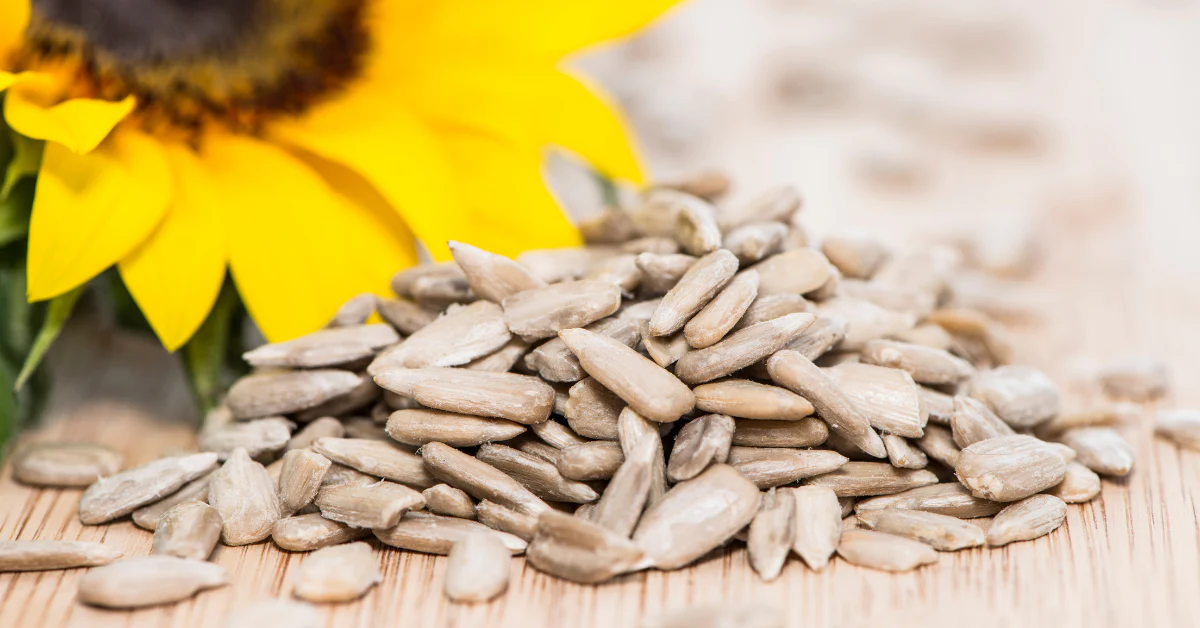 customized packing sunflower seeds factory