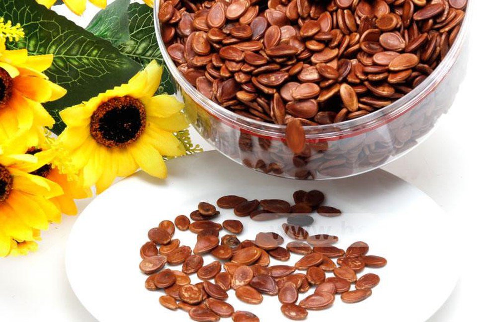 chinese melon seed snack supplier