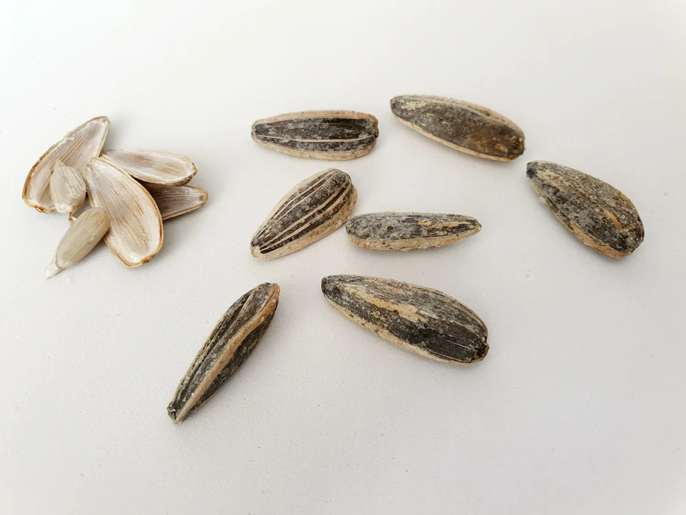 china sunflower seed packets bulk
