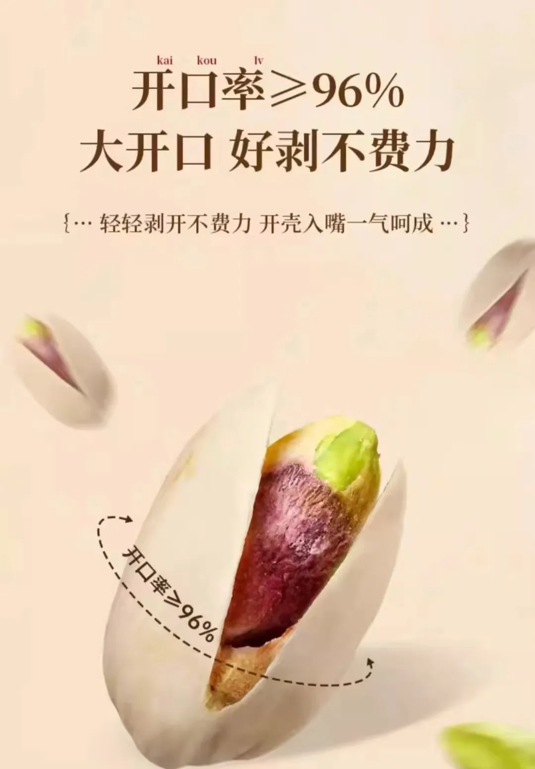 different specifications sunflower seeds
