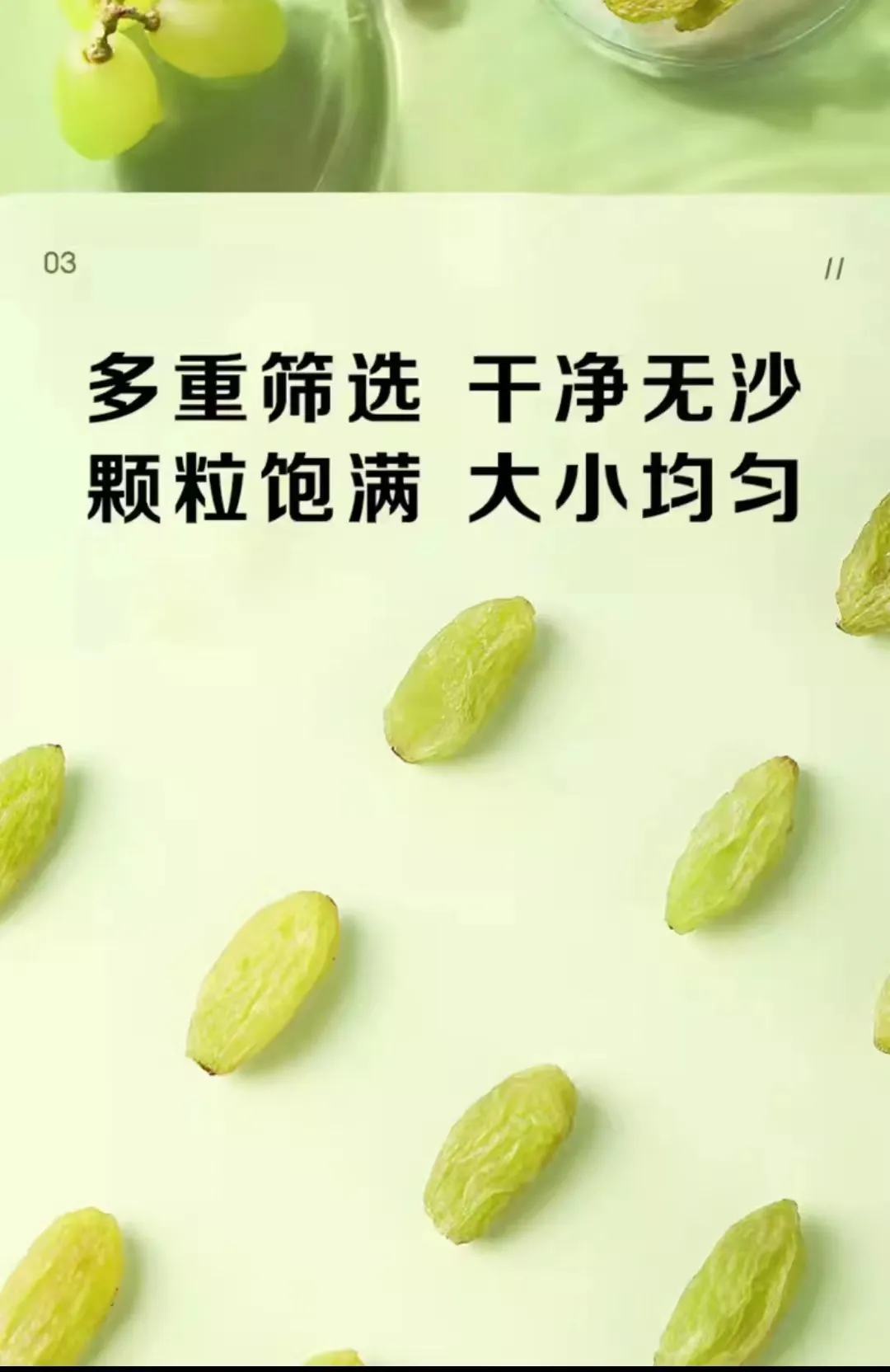 melon with seeds factories