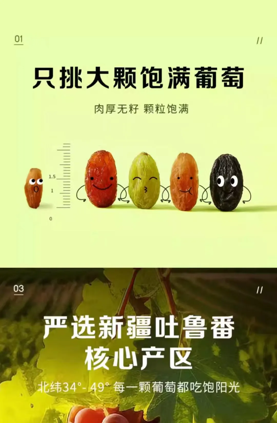 china sunflower seeds or pumpkin seeds